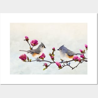 Tufted Titmice on Magnolia Branch Posters and Art